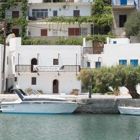 τhe White *