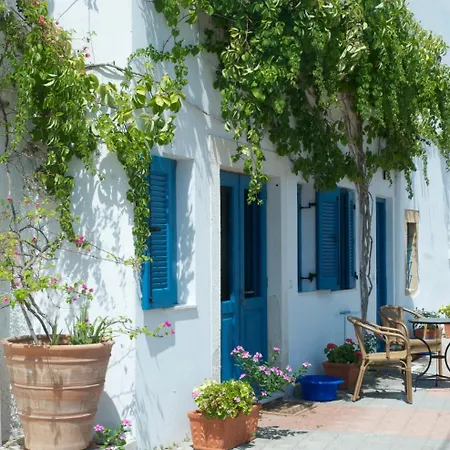 τhe White